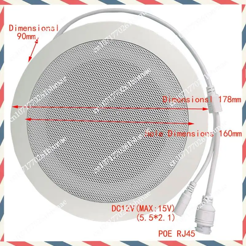 -A21Z 10W شبكة IP نظام العناوين العامة الصوت ABS سقف المتكلم POE أو DC12V