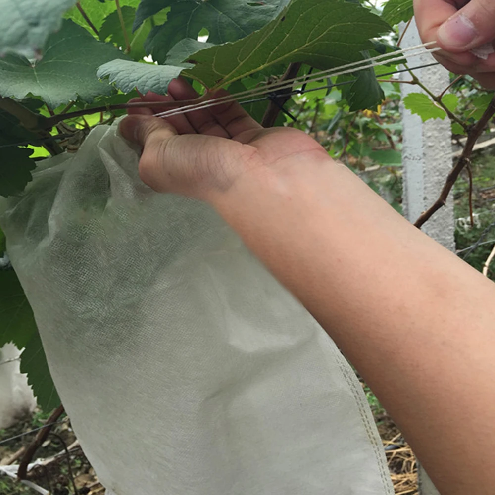 100 stücke Obsts chutz beutel Schädlings bekämpfung Anti-Vogel Gartenarbeit Netz beutel Erdbeer trauben Abdeckung Tasche Gemüse wachsen Tasche