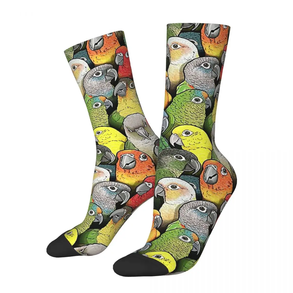 

Colour Of Conures Socks Harajuku Sweat Absorbing Stockings All Season Long Socks Accessories for Man's Woman's Birthday Present