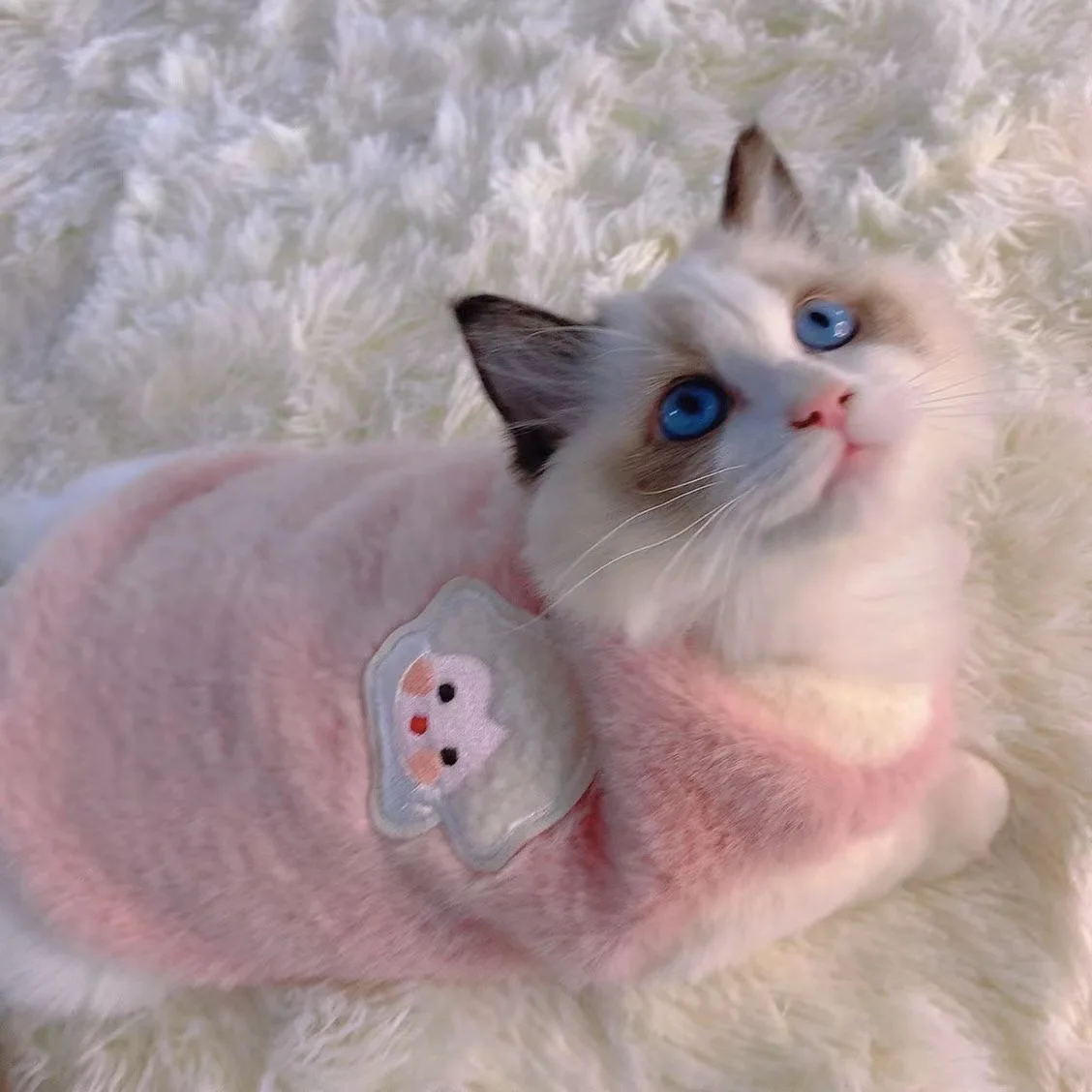 Cute autumn and winter cat clothes, warm and thick vest, anti shedding fur cloth, even pet clothes