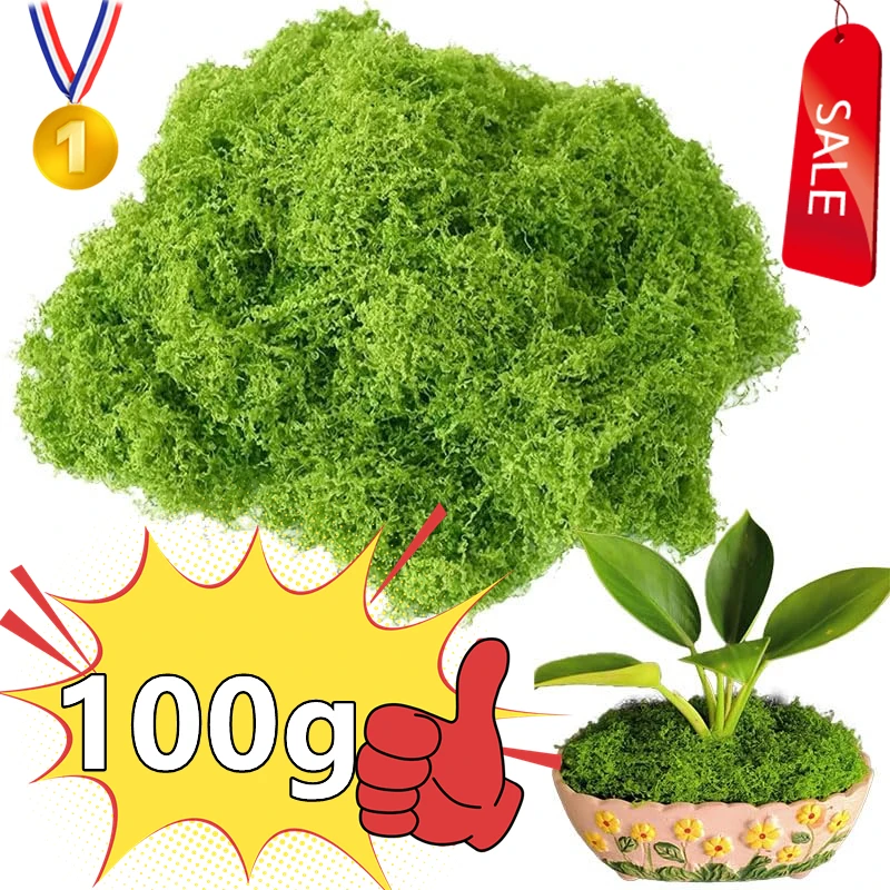 Newest 100/50/30g Artificial Green Plants Eternal Life Moss DIY Crafts Grass Garden Home Room Decor Mini Landscape Fake Grass