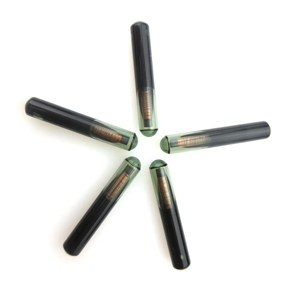 5/10/20 قطعة رقائق مفتاح السيارة فارغة 4D60 رقاقة الزجاج ID4D60 شريحة جهاز إرسال واستقبال لفورد السيارات 4D 60 رقائق