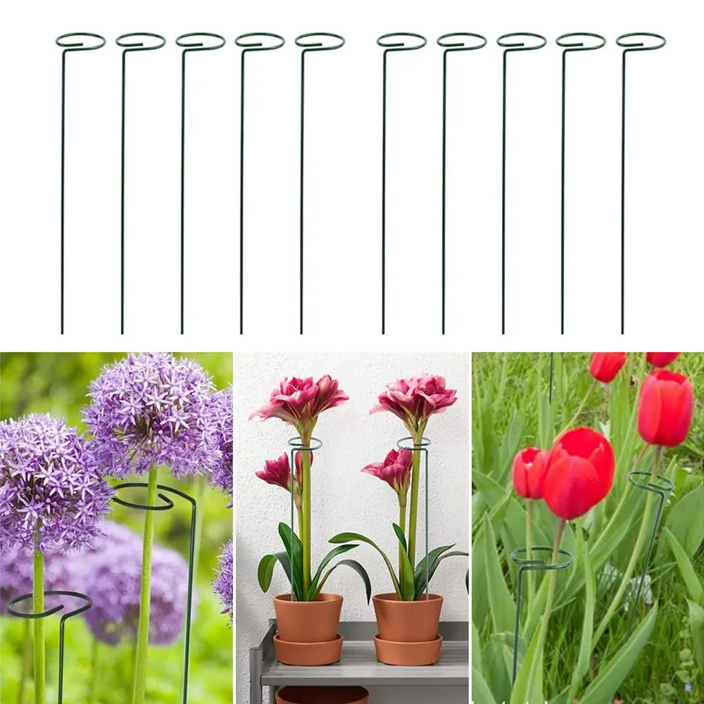 5Pcs Durable Garden Climbing Vine Rack Plant Support Stand Fixing Rod Climbing Frame Plant Cage Frame