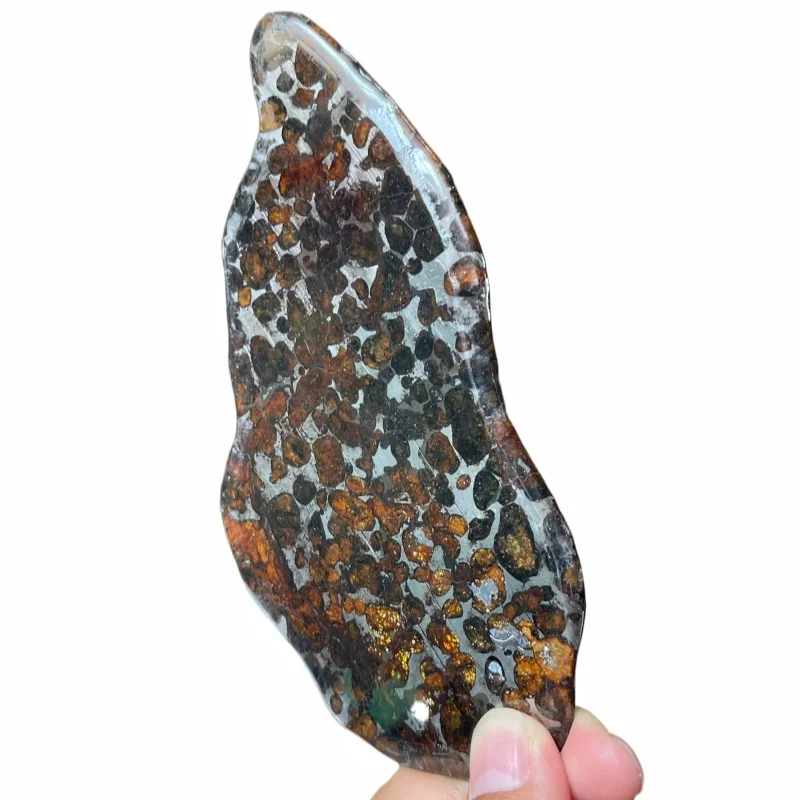 Sericho Pallasite Meteorite Slice Kenya Polished Olivine Meteorite Irregular Piece Natural Space Collection Specimen QA893