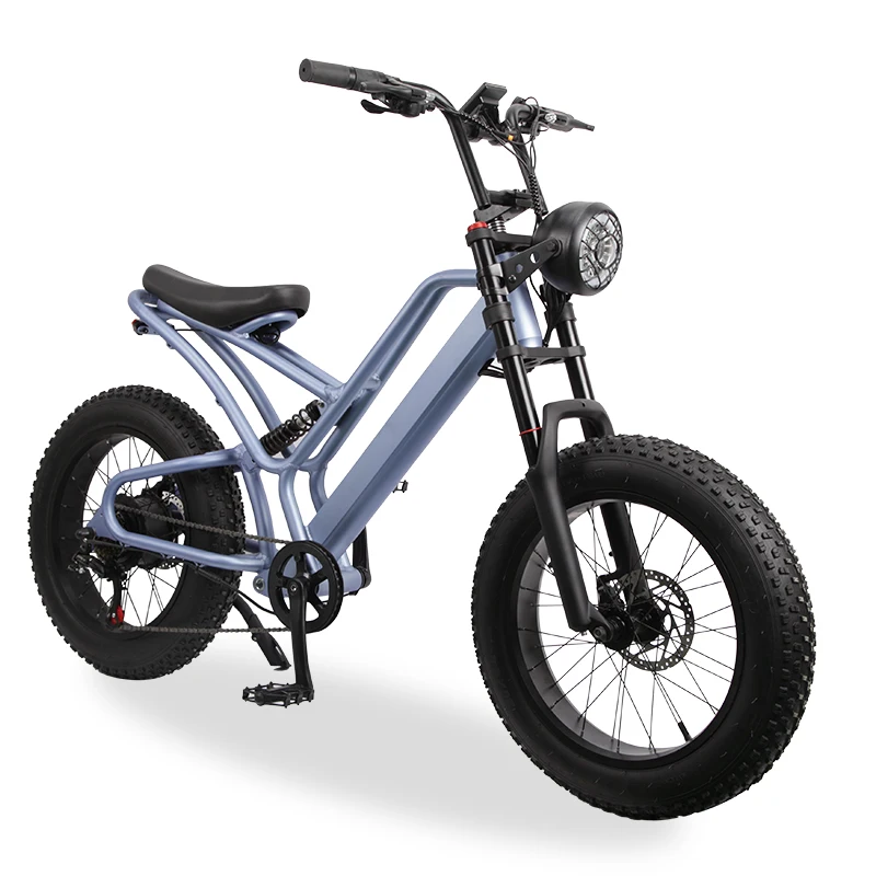 

Good Price 750 Watt Electric Bike Lithium Battery 48V Fat Tire Electric Dirt Bike US Warehouse