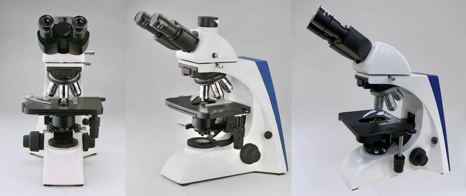 Heißes beliebtes trinokulares Laboratory Xsz 107bn Darkfield-Digitalmikroskop mit LCD-Bildschirm