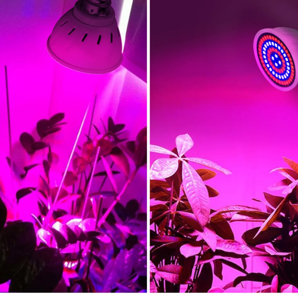 Phyto Led B22 Hydrocultuur Groei Licht E27 Led Grow Lamp MR16 Volledige Spectrum 220V Uv Lamp Plant E14 Bloem zaailing Fitolamp