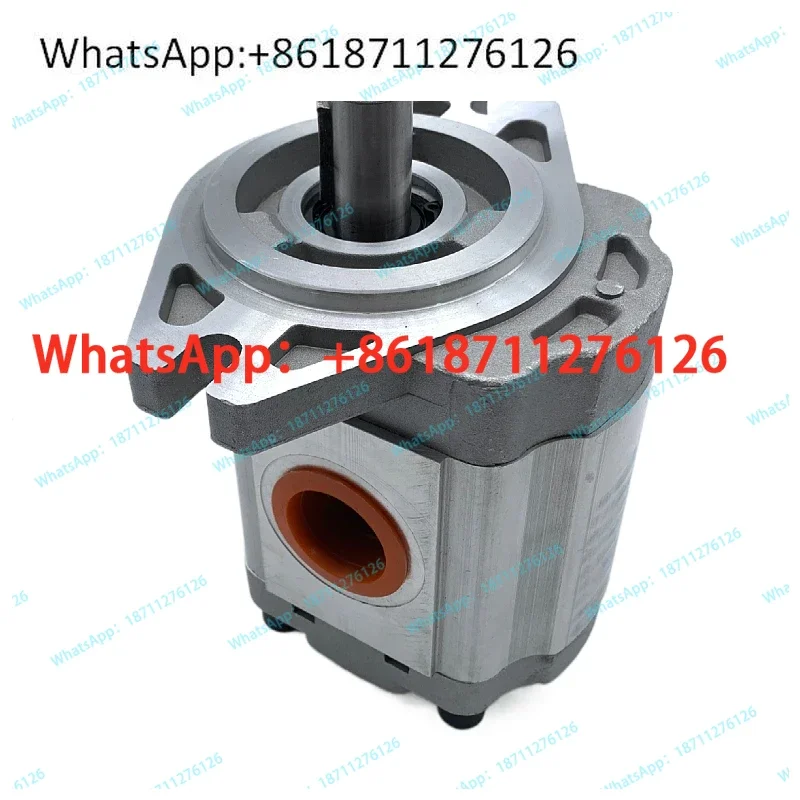 Long source gear pump CBF-E5/F410/412.5/416/418/420/425/432/440-ALPL