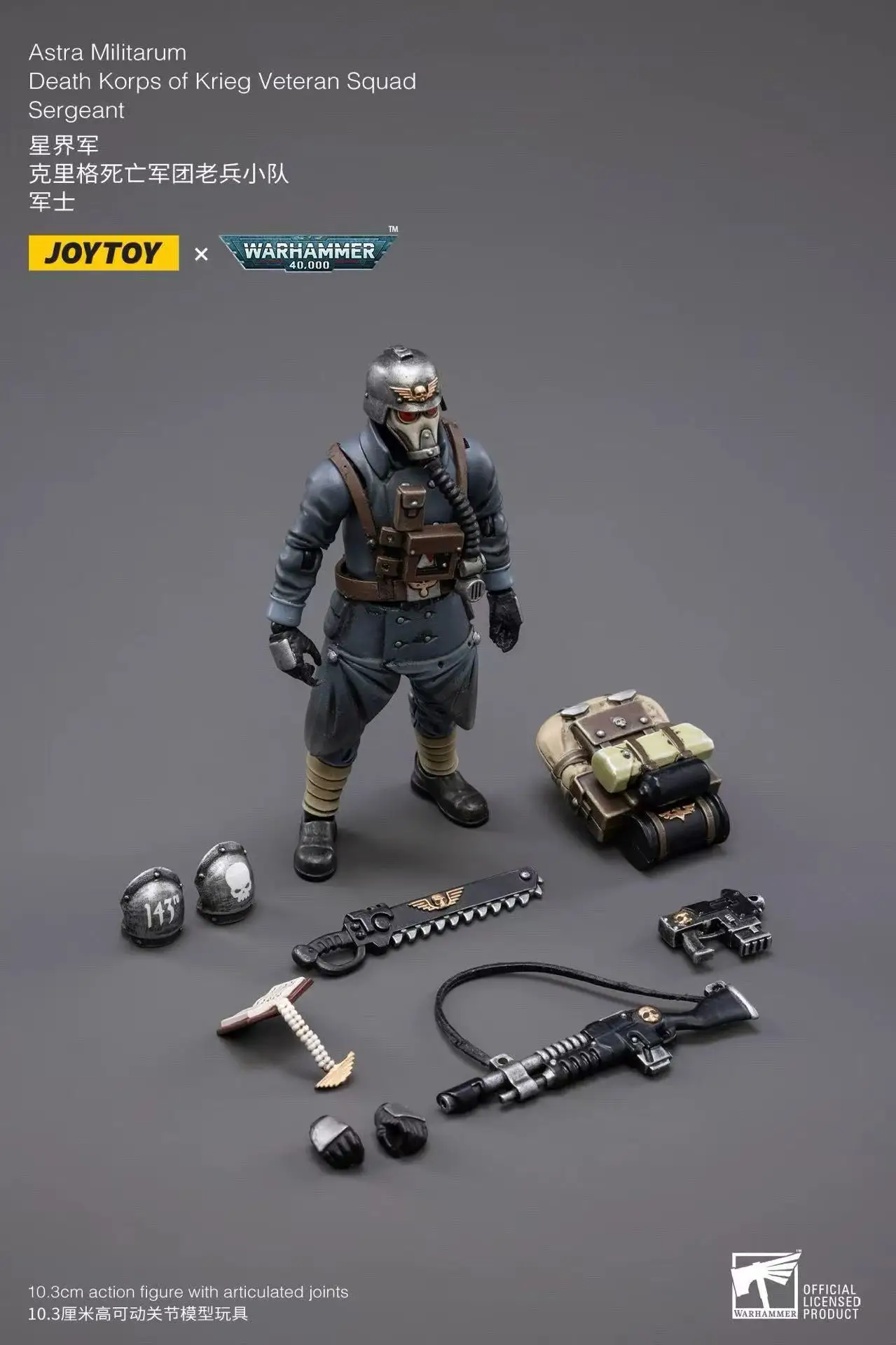 JOYTOY 1/18 Action Figure 40K Astra Militarum Death Korps of Krieg Veteran Reissue Anime Collection Military Model