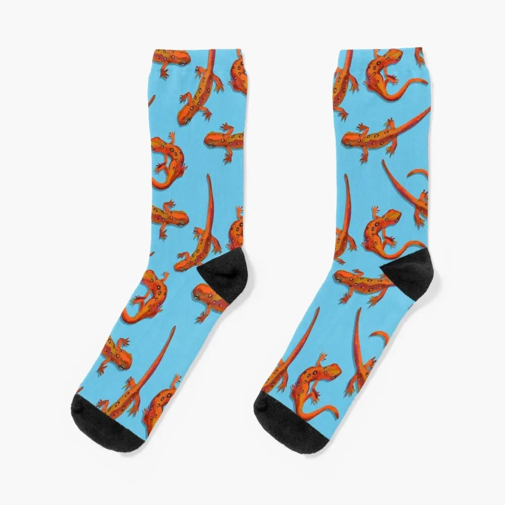 Eastern Newts Orange on Blue by Robert Phelps Socks anime compression Antiskid soccer anti slip football Women Socks Men's