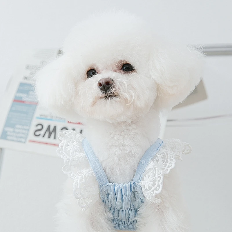 Cute Lace Dog Dress for Small Dogs, Chihuahua, Puppy Vest, Pet Skirt, French Bulldog Accessories, Clothing for Cat