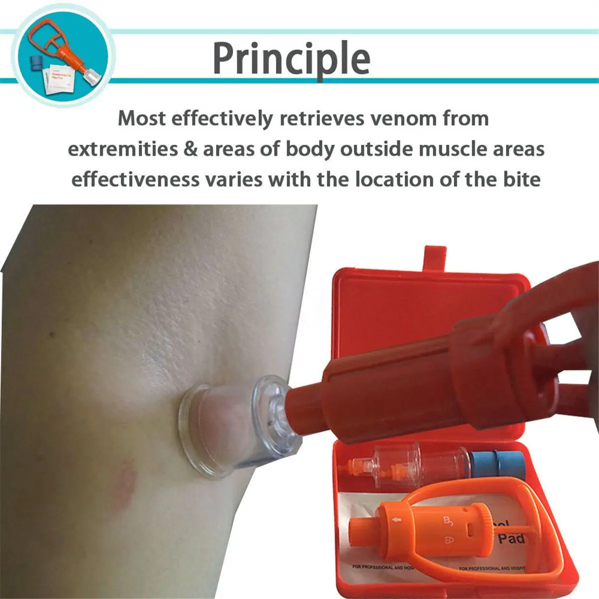 Pompe flacon de venin d'urgence, kit de sécurité de premiers soins, morsure de salle, camping en plein air, outil de survie SOS
