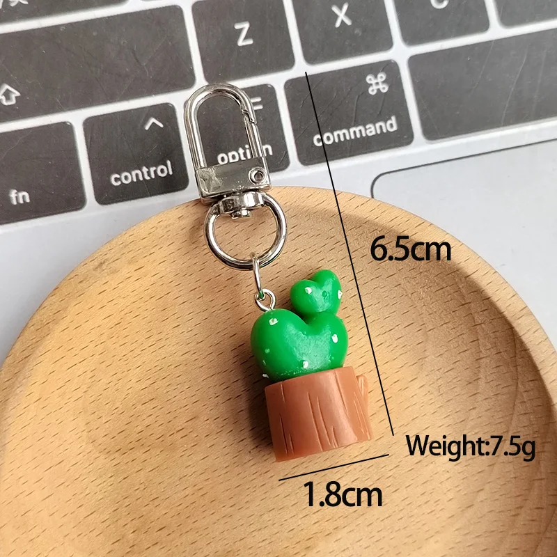 الراتنج ثلاثية الأبعاد الصبار بوعاء المفاتيح كيرينغ للنساء الرجال صديق لطيف الإبداعية عصاري زهرة النبات حقيبة صندوق مفتاح السيارة الملحقات #4