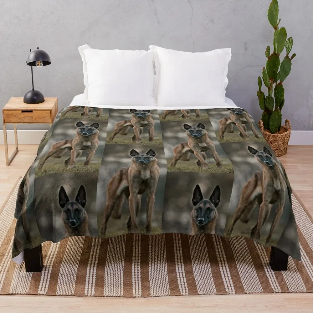 

belgian shepherd malinois amazing Throw Blanket Soft Breathable Blanket for Night Sleeping