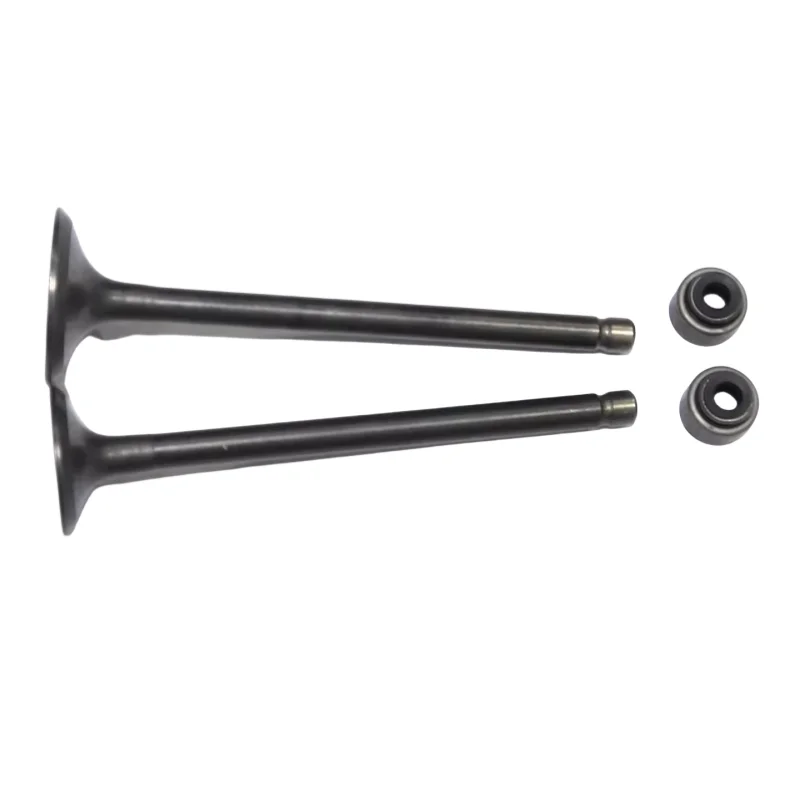 

Motorcycle Engine Valve Intake Valve Exhaust Valve Combination Oil Seal Suitable for Yamaha Fzer250 Fz-X Ybr250 Ys250 Xtz250 Xg250 Fz250