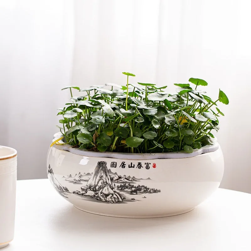 Thumbnail 4 - #38 Trending Plant Pots Right Now