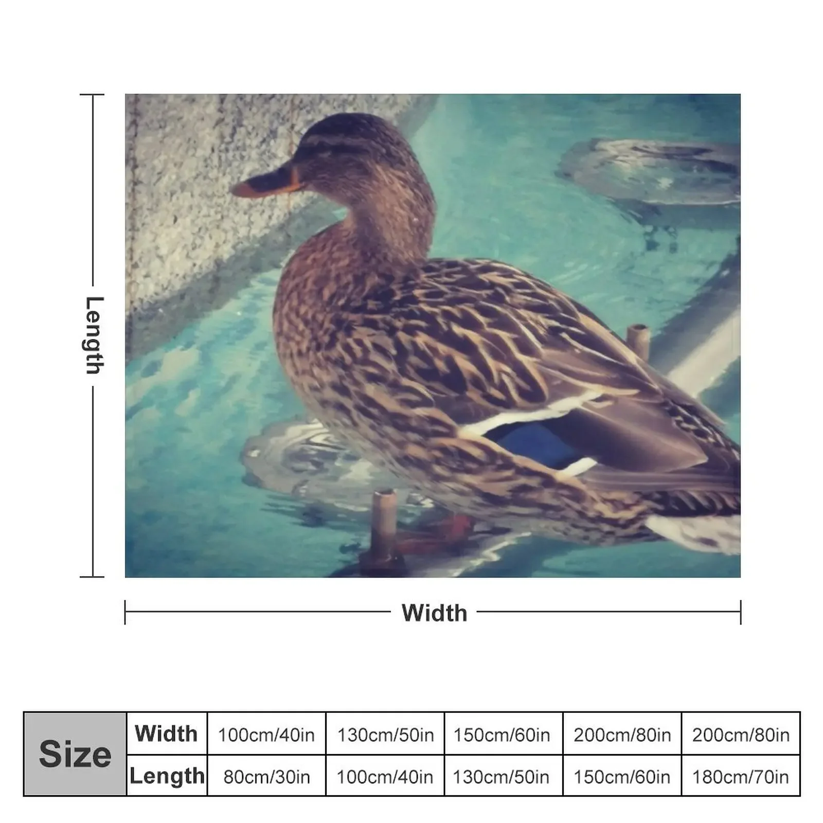 wild duck Throw Blanket Sofa Nap Extra Large Throw Blankets