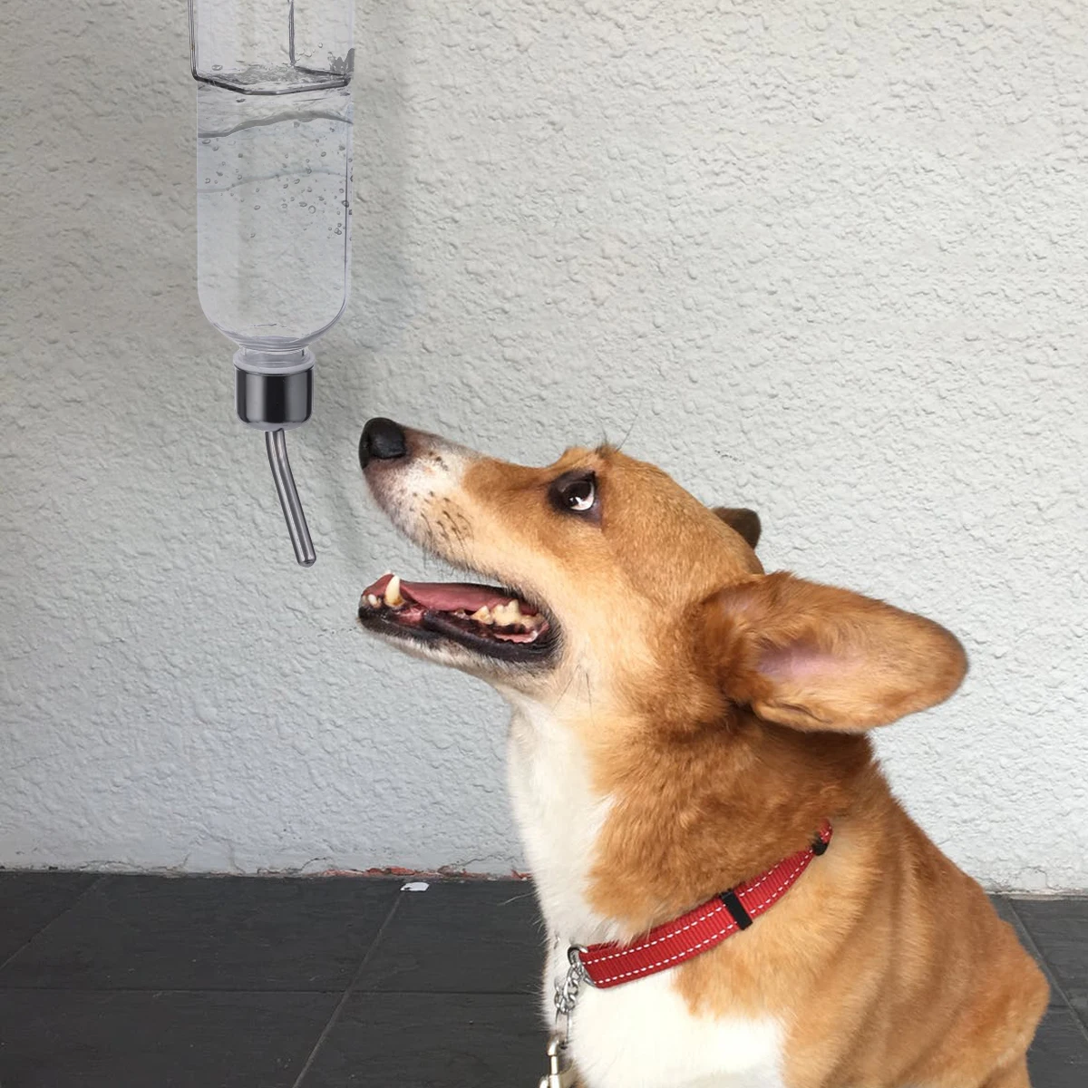 

Hanging Water Bottle Automatic Feeder for Small Animal Pet Supplies Durable Safe Environmental Plastic Travel Temporary Water