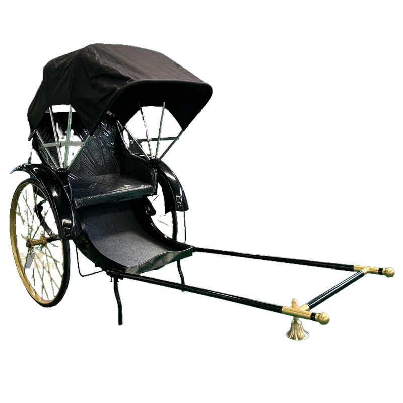 

The Old Style Rickshaw Horse Carriage New Arrival 2 Wheel Rickshaw with Low Price Cheap 2 Seats Pedicab Rickshaw