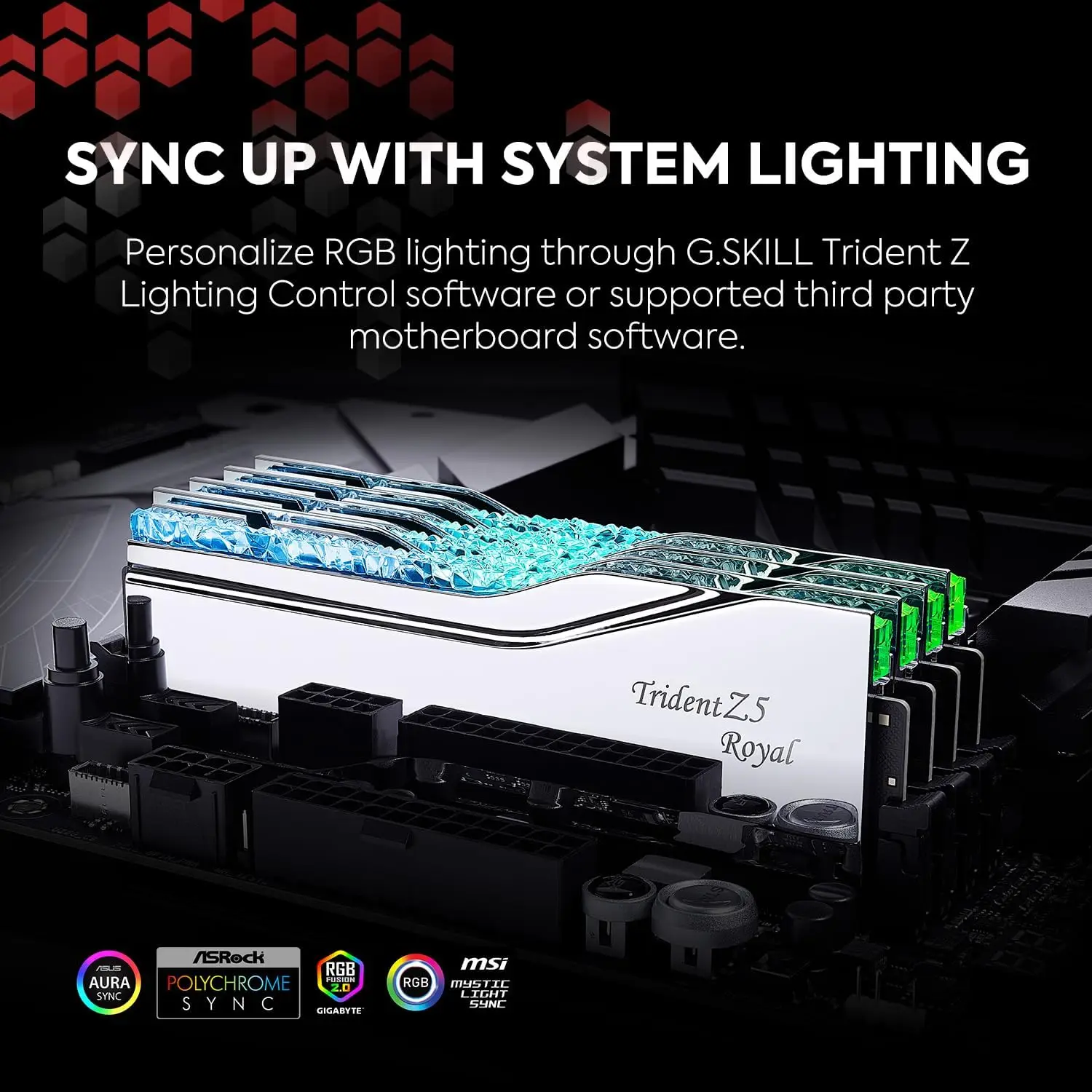 G.SKILL Trident Z5 Royal Series (Intel XMP 3.0) DDR5 RGB RAM 32GB 