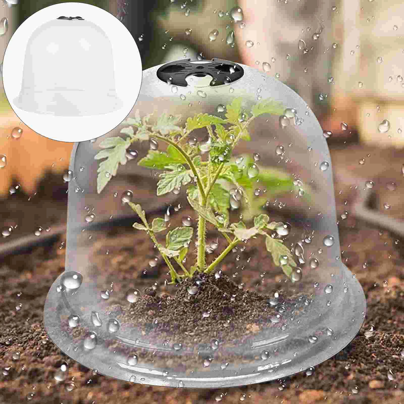 6 Pcs Plant Protection Cover Wintering Mini Greenhouse Supplies Garden Cloche Dome Frost Guard Freeze Gardening Bell Shaped