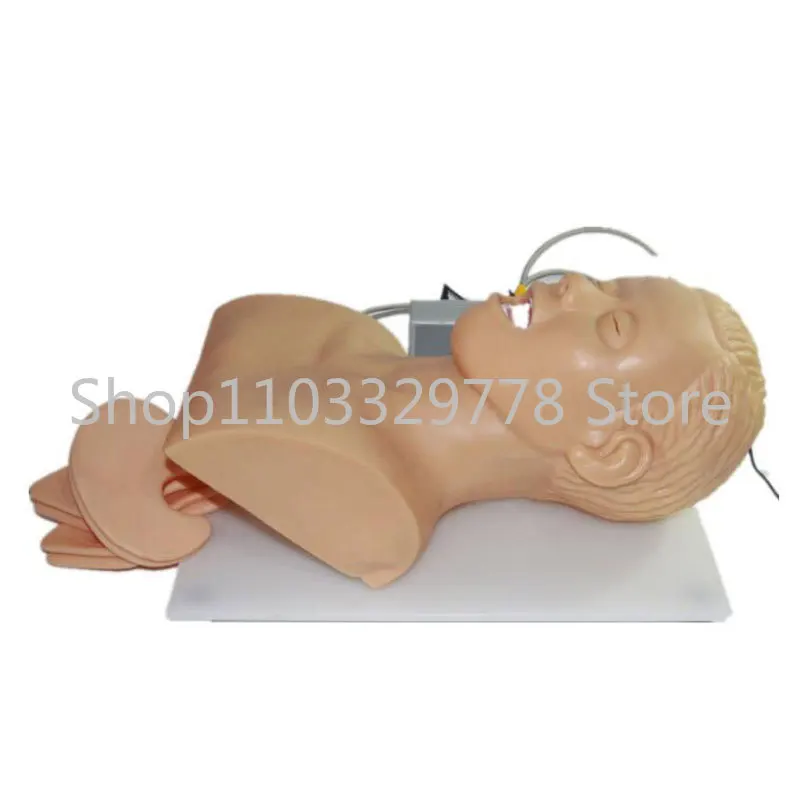 Multifunctional Airway Management Mode, Intubation Training Head Intubation Model