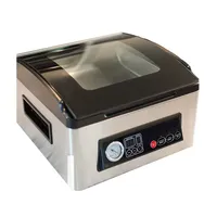 Food Vacuum Sealer  Packaging Machine  Dry Wet Food  Packed Bags Automatic househo  Vacuum Sealing 220V