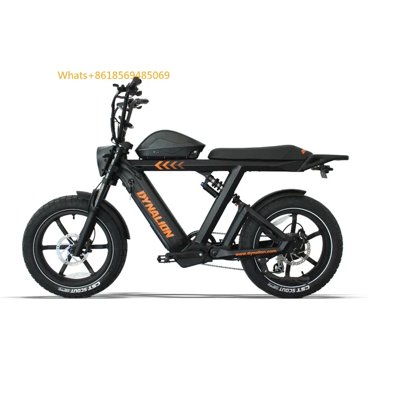 Hot Selling 48V 1000W China Cheap Full Suspension Retro Vintage E Bike Ebike Mountain Fat Tire Hybrid B