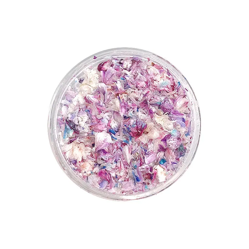 TSZS Nail Art DIY Decorations Japanese Style UV Gel Dried Flower For Nails Art Jewelry Charms Flower Beauty Salon Decos