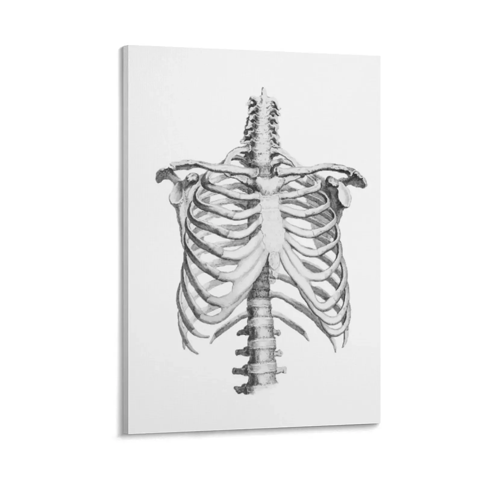 

Anatomy, ribcage, rib cage,skeleton Canvas Painting decorative wall poster poster room decor wall frame for living room