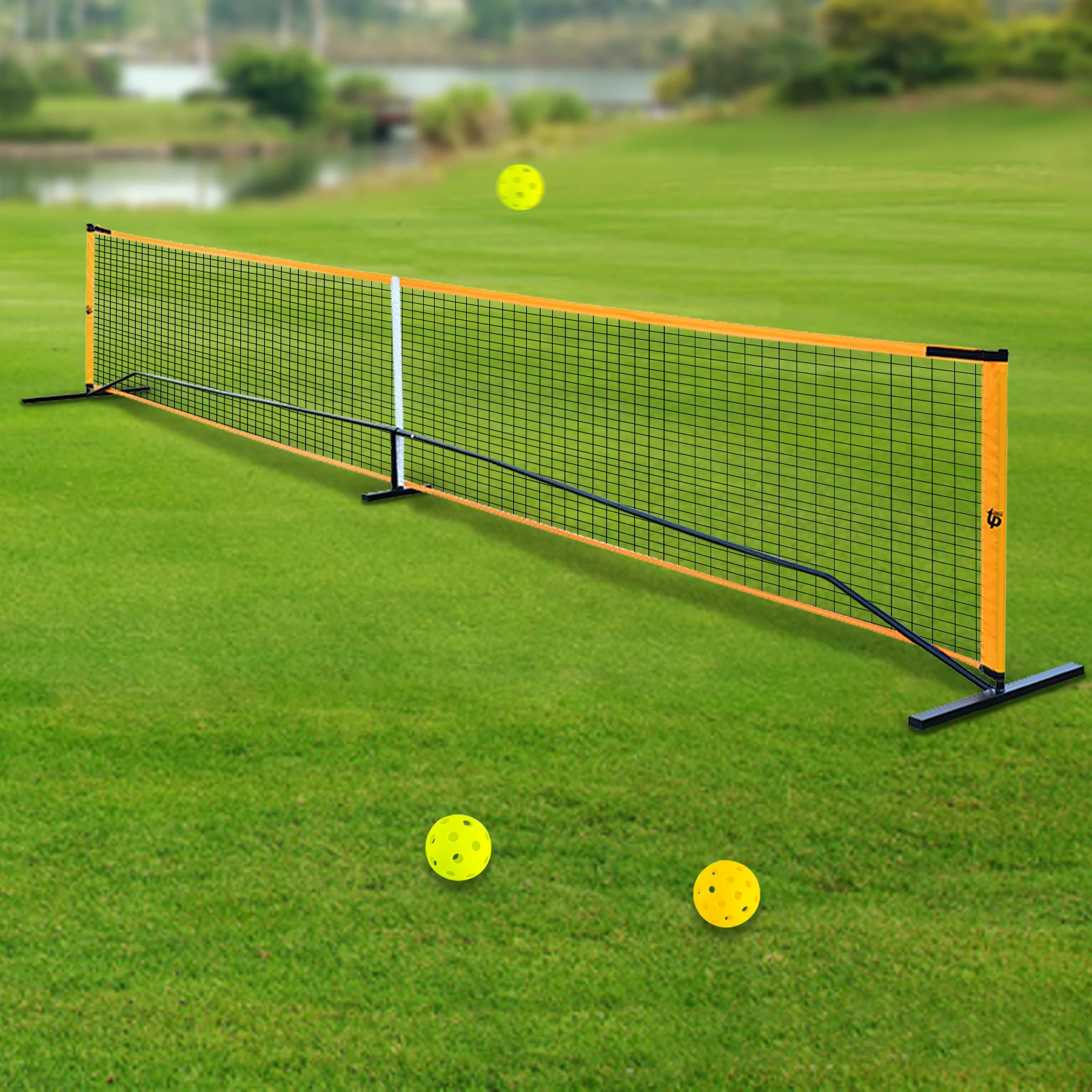 4 Outdoor Pickleballs and Carry Bag Portable Pickleball Net Set with 4 Pickleball Paddles