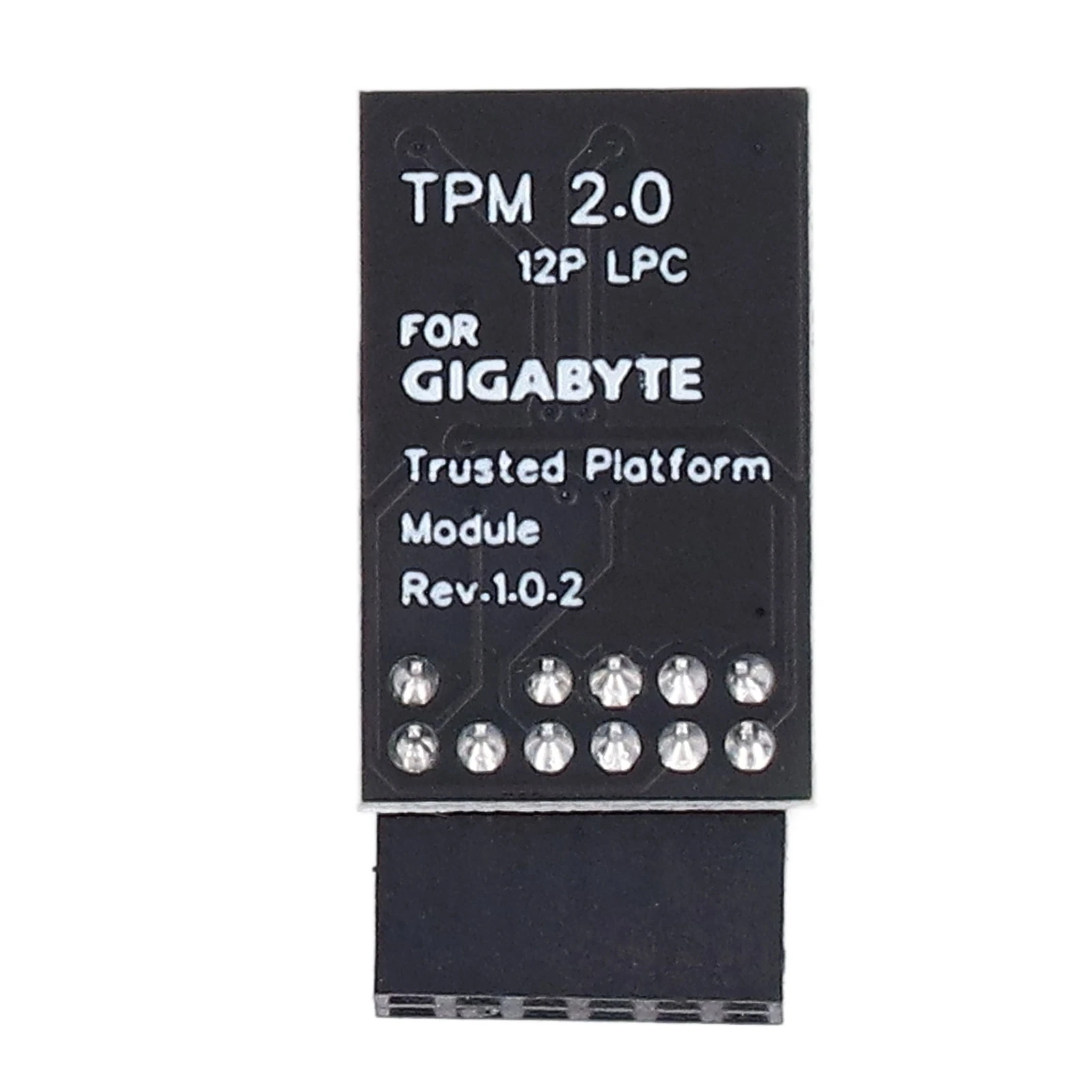 TPM 2.0 Module, LPC SPI 12-Pin, Remote Card Encryption Security Board Module, Compatible with Gigabyte