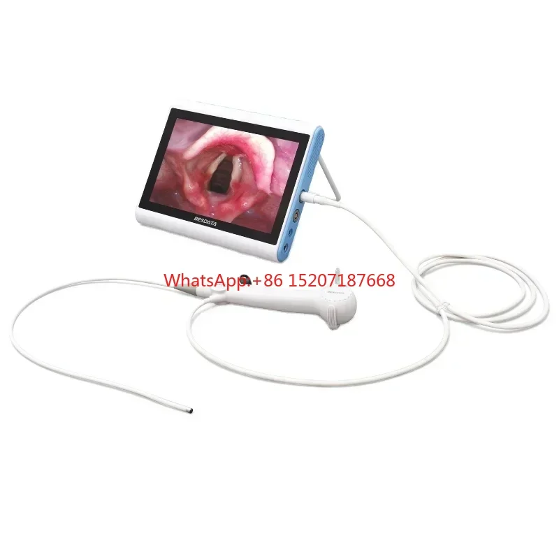 2024 Nasopharyngoscope China BESDATA Portable Low Price Flexible Endoscopy 3.8mm HD Rhinolaryngoscope for Examination Diagnose