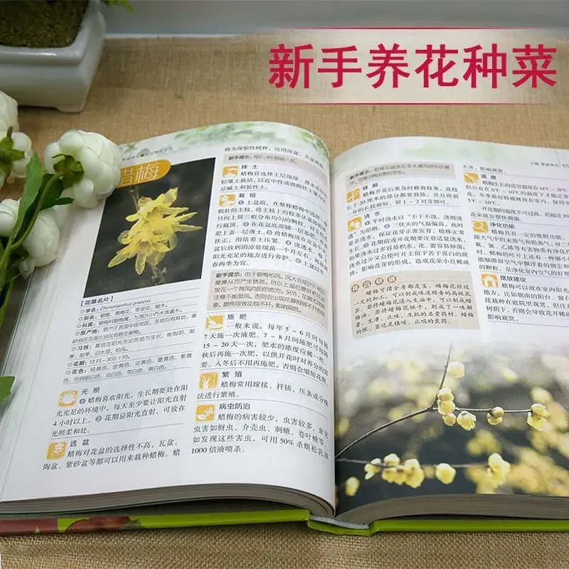 "Family Flower and Balcony Garden Garden Book" Flower Books Complete Practical Manual