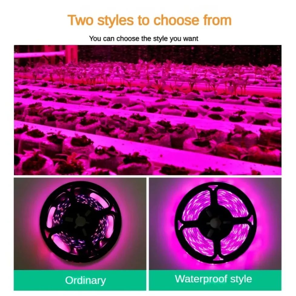 DC5V USB Full Spectrum LED Grow Light Strip 60LEDs/M Touch Dimmable 1-5M Phyto Light for Seedling Vegetable Flower Plant Growing