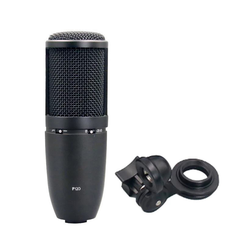 P120 Portable Noise Cancelling XLR Condenser Mic for Broadcast, Blogging, Gaming, Podcasting, Live Streaming - Wired, Boxed