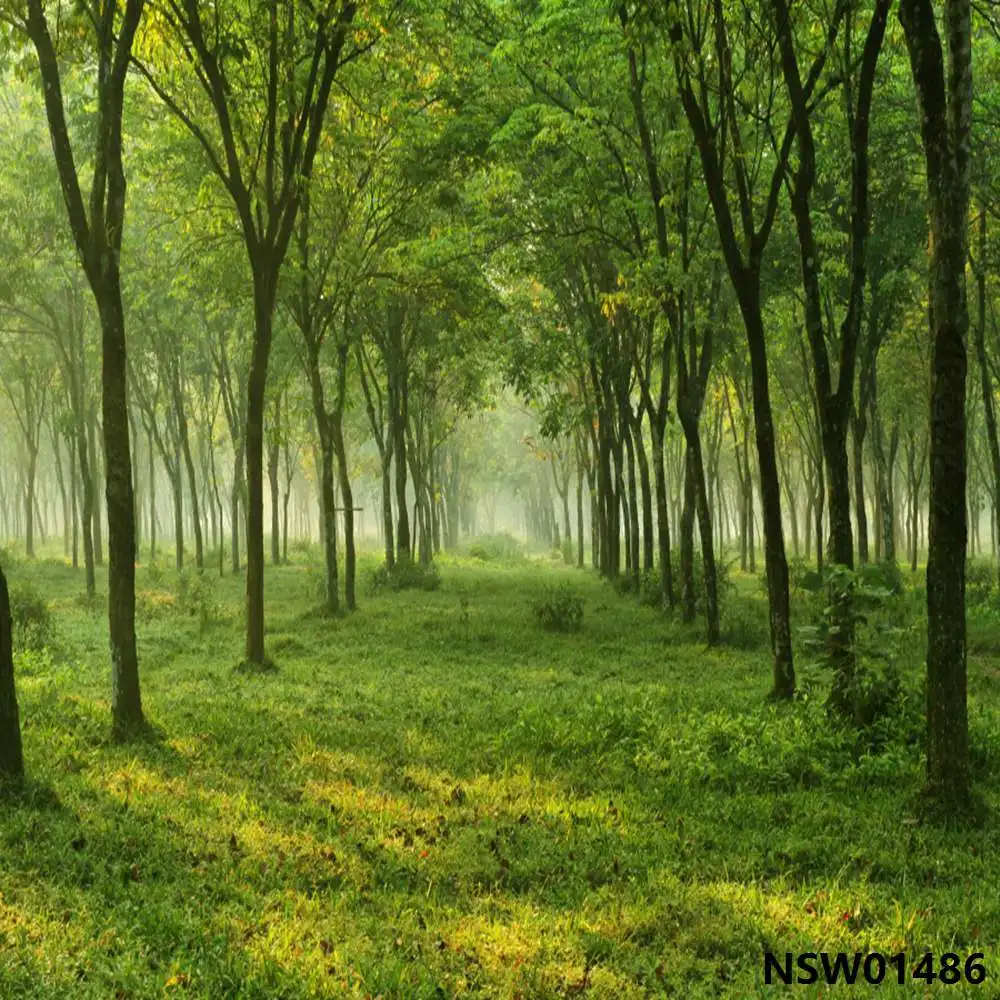 Laeacco Spring Green Forest Trees Grassland Scenery Photography Backgrounds Baby Child Portrait Photo Backdrops For Photo Studio