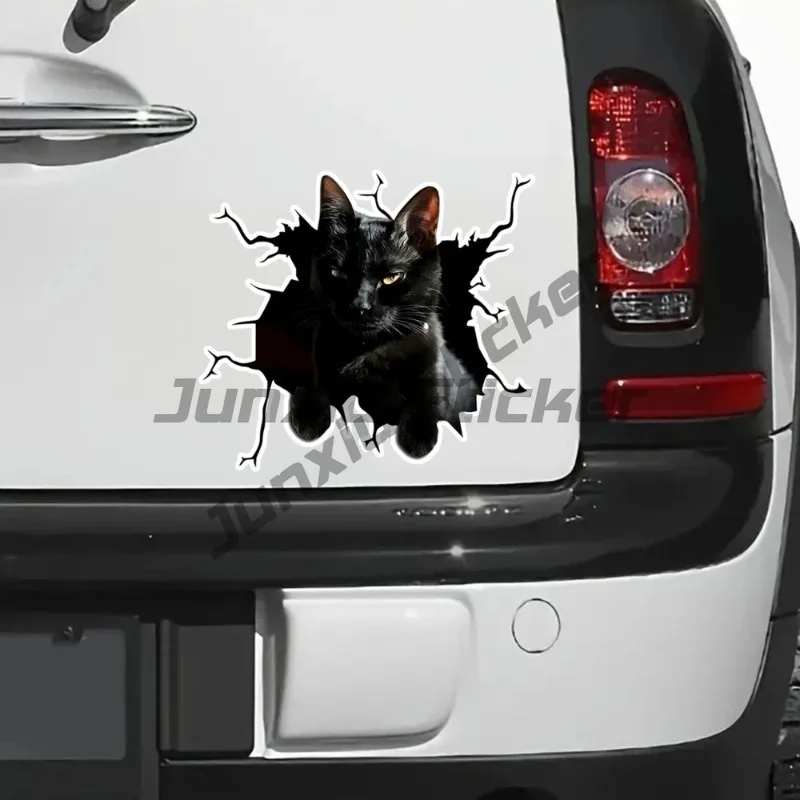 

Cute Cat Self-Adhesive Vinyl Decal, Used for Car Windows, Bumper, Laptops, Windows, Glass, Walls, Waterproof Exterior
