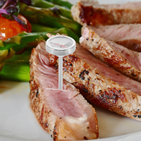 Food Thermometer Grill Chicken Kitchen Fryer Temperature Gauge Heat-resistant Instant Read Meat
