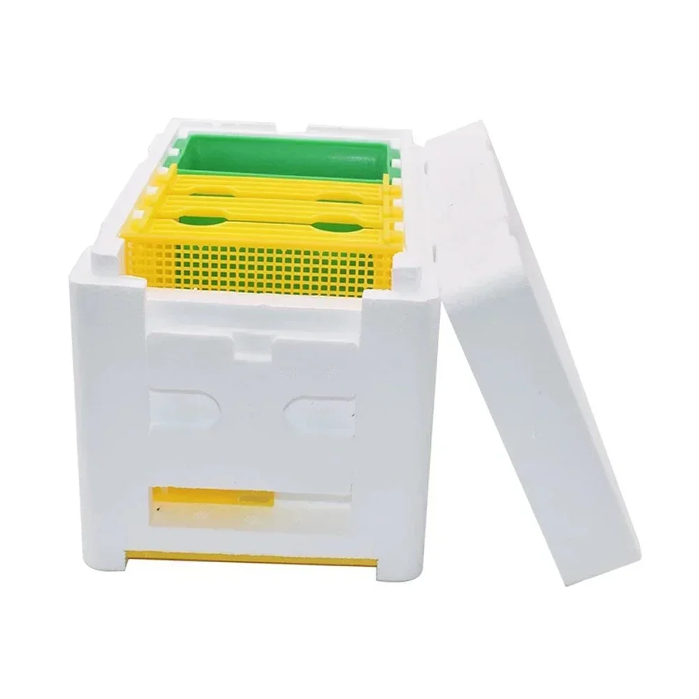 Queen Bee Fokken/Doos Bee Paring Box Foam Bee Hive Box Imker Tuin Bestuiving Box Bee Fokken Case Bijenteelt tool