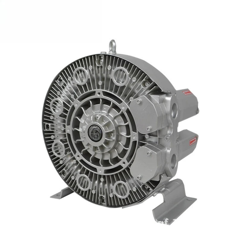 Air ring vacuum pump, air ring compressor, vortex air pump