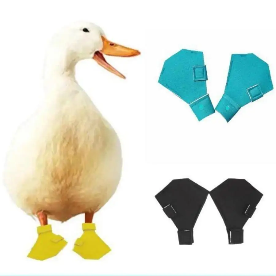 Pet Duck Cole Duck Foot Protection Shoes Pet Goose Duck Bird Boots