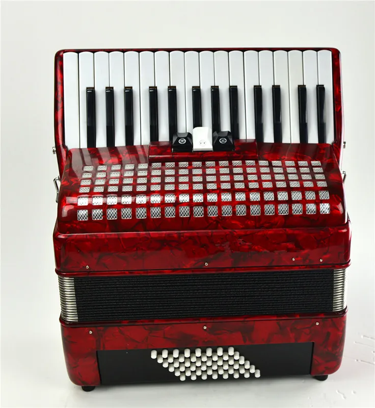 

30 Keys 48 Bass Piano Accordion with Adjustable Straps Gig Bag Musical Instrument for Kids Beginners Children Music Gifts