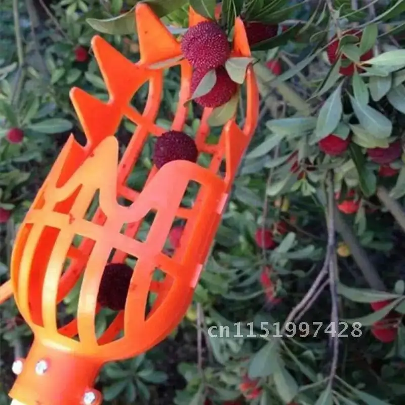 Fruit Collection Tool High Altitude Garden Greenhouse Picker Bayberry Catcher Harvesting Head