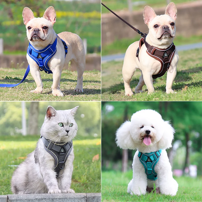 Adjustable Reflective Dog Harness & Leash Set 4