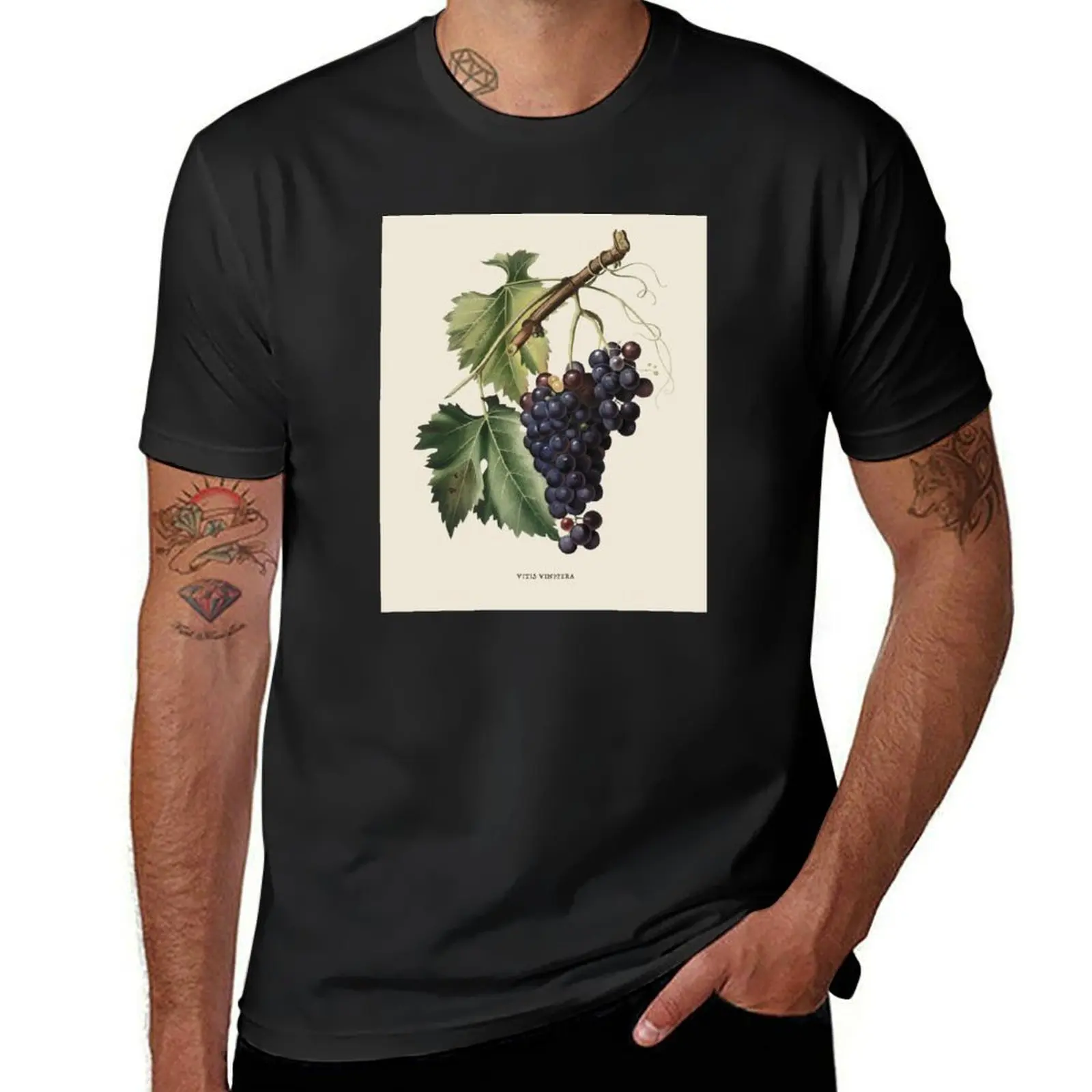 

Black Grape Antique Botanical Illustration T-Shirt sweat quick-drying mens workout shirts