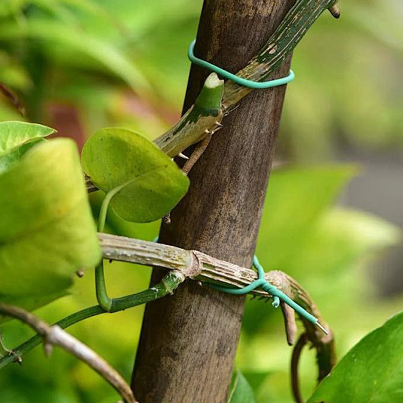 Filo da Giardino Verde Riutili - Garden Wire Twist Tie recensione e prezzo