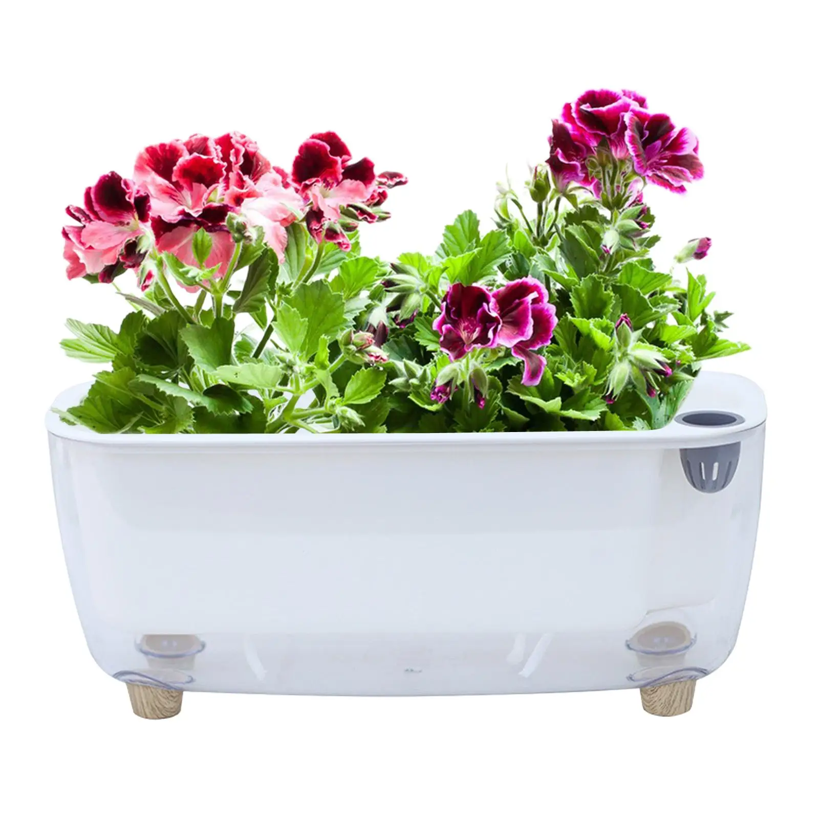 

Self Watering Planter Decorative Succulent Plant Pot Plastic Flower Pot for Balcony Tabletop Terrace Garden Indoor and Outdoor