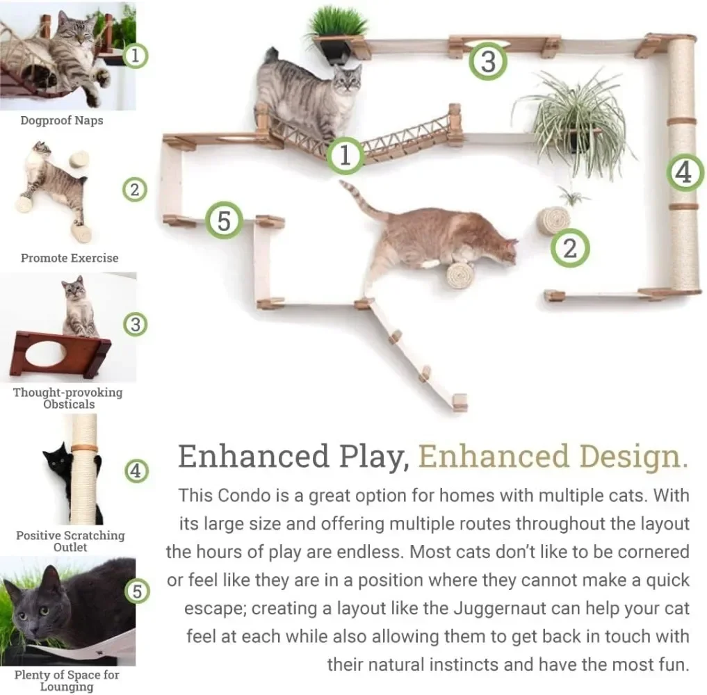 Modern Cat Condo for Large and Small Cats, with Bridgewall, Hammocks, Scratching Poles, and Planters