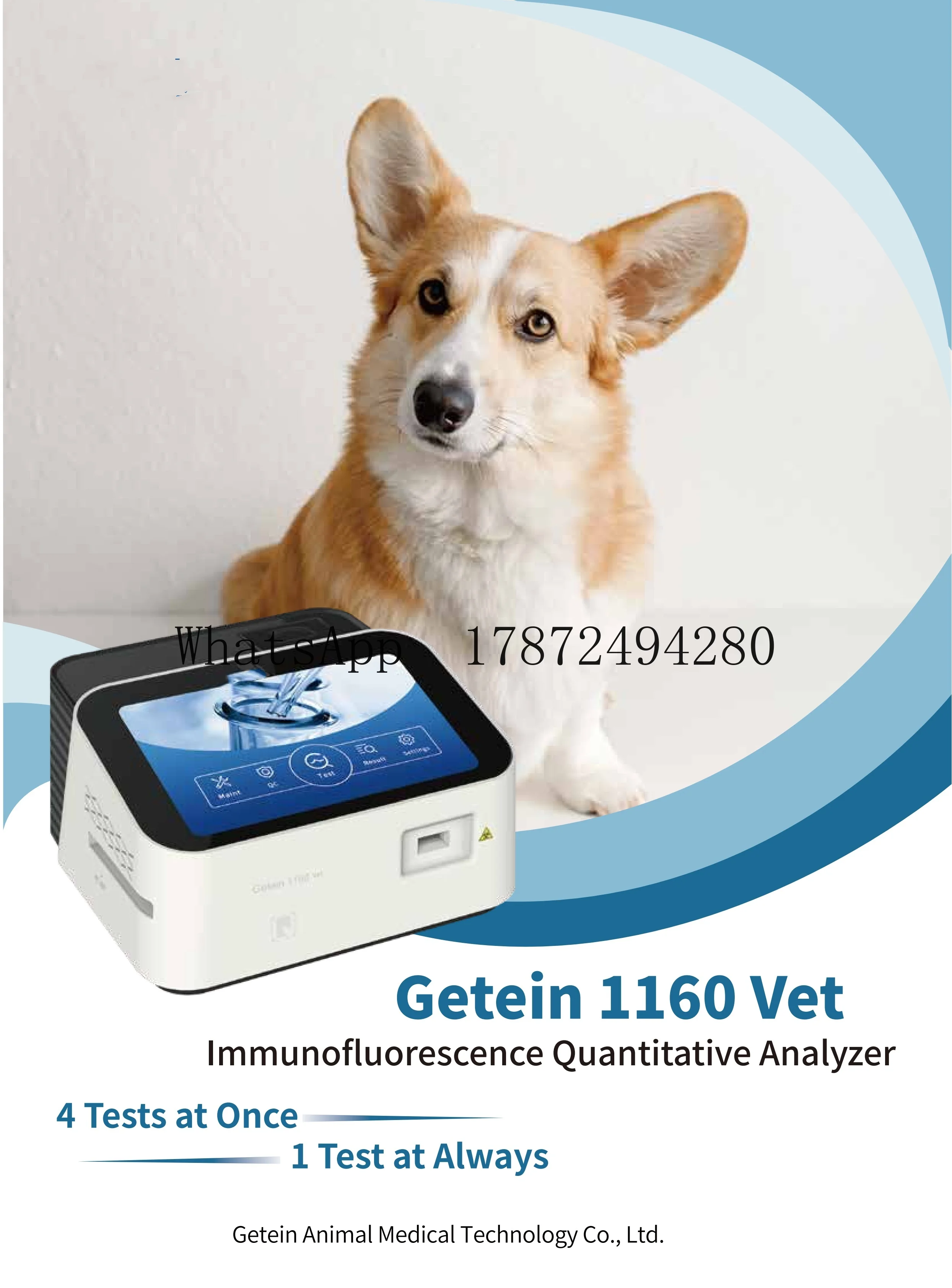 Rapid Test Getein 1… - image